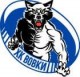 Вовки